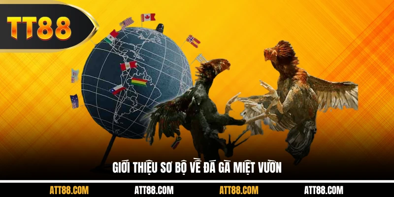 Giới thiệu sơ bộ về đá gà miệt vườn